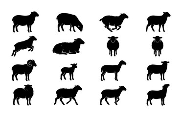 Naklejka premium Black sheep silhouettes collection, 16 livestock animal vector icons, farm ram and lamb profile shapes, woolly ewe standing and grazing poses