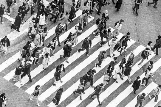 Shibuya crossing, crowds at intersection, many people cross zebra crossing, black and white, Shibuya, Udagawacho, Tokyo, Japan