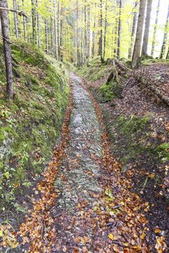 Celtic road, Roman road, Rottweg, historic track road near Klais, Werdenfelser Land, Upper Bavaria, Bavaria, Germany