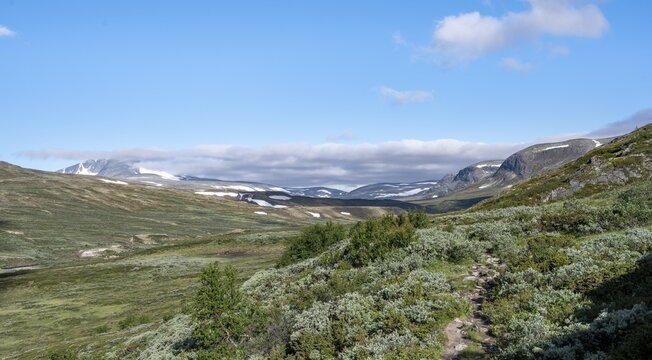 Hiking trail in the mountains with Bergen, in the back mountain Sn&oslash;hetta, Dovrefjell-Sunndalsfjella National Park, Norway