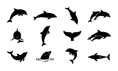 Obraz premium Dolphin silhouette collection, set of 12 aquatic mammal icons in black vector format, marine life jumping and swimming dolphin shapes for ocean branding