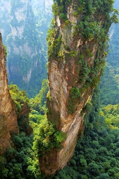 "Avatar" mountains with vertical quartz sandstone rocks, Zhangjiajie National Park, Hunan Province, China