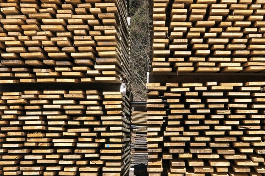 Stacked wooden boards, Oberallg&auml;u, Allg&auml;u, Bavaria, Germany