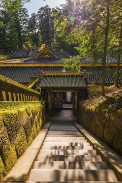 Tōshō-gū Shrine from the 17th century, Shintō Shrine, Shrines and Temples of Nikko, UNESCO World Heritage Site, Nikko, Japan