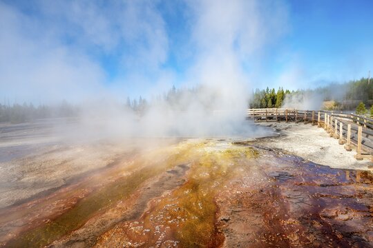 Orange and red mineral deposits, steaming hot springs, morning sun, West Thumb Geyser Basin, Yellowstone National Park, Wyoming, USA