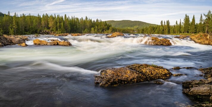 Rapids in the river Namsen, coniferous forest, Namsskogan, Tr&oslash;ndelag, Norway