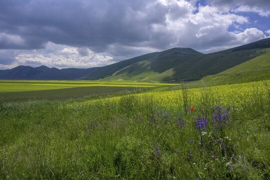 Pan Grande plateau in the Monti Sibillini National Park, Castelluccio, province of Perugia, Italy