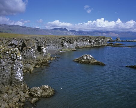 Cliffs formed by volcanic basalt columns, Arnarstapi, Snaefellsnes Peninsula, Iceland