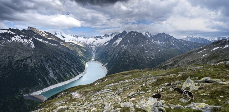 View from the Berliner H&ouml;henweg to the Schlegeis reservoir, Schlegeis reservoir, Zillertal Alps, Schlegeiskees glacier, Zillertal, Tyrol, Austria