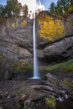 Waterfall in front of basalt rock, Latourell Falls, time exposure, Oregon, USA