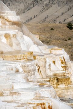 Sinter terraces with calcareous tuff deposits, hot springs, colorful mineral deposits, Palette Springs, Lower Terraces, Mammoth Hot Springs, Yellowstone National Park, Wyoming, USA