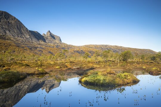Mount Kulhornet reflected in small pond, Efjord, Tysfjord, Ofoten, Nordland, Norway