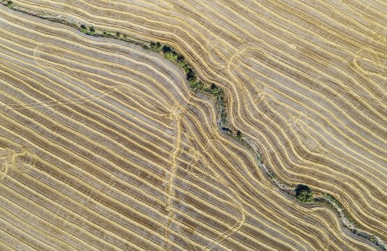 Abstract patterns in cornfield after wheat harvest, dry stream, aerial view, drone shot, C&oacute;rdoba province, Andalusia, Spain