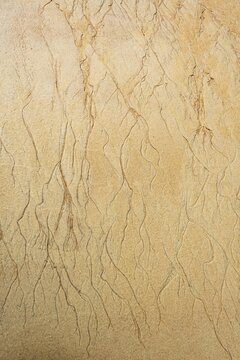 Wavy pattern due to water current in the sand, beach, Anchorage Bay, Abel-Tasman National Park, Tasman, South Island, New Zealand