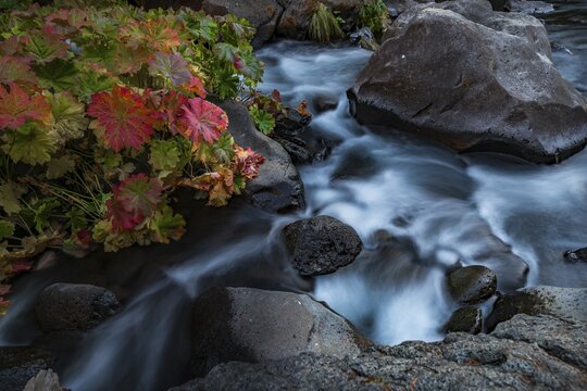 Long-term image, McCloud River, Middle Falls, Siskiyou County, California, USA