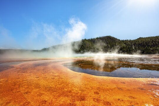 Steaming hot spring with colored mineral deposits, Grand Prismatic Spring, Midway Geyser Basin, Yellowstone National Park, Wyoming, USA