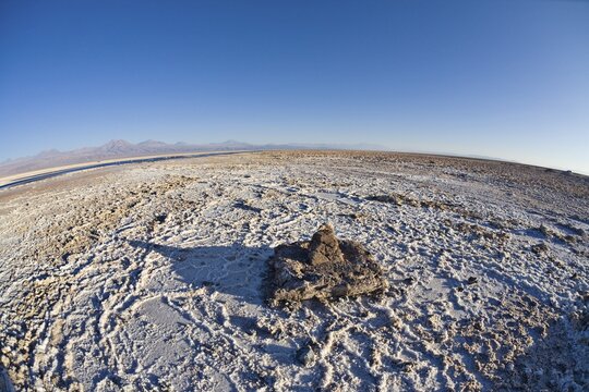 Salt formations covering the ground of the Reserva Nacional los Flamencos at the Salar de Atacama salt flats, Regi&oacute;n de Antofagasta, Chile, South America