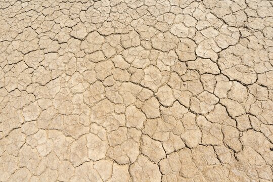 Dry soil with cracks, Death Valley, Death Valley National Park, California, USA