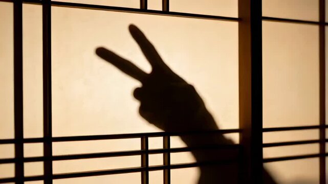 Casting backlight, hand shadow entering from right forming V sign on paper lattice screen in room
