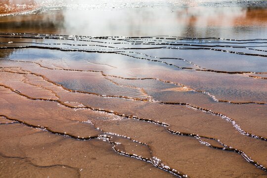 Wave structure, colored mineral deposits at the edge of the hot spring, detail view, Grand Prismatic Spring, Midway Geyser Basin, Yellowstone National Park, Wyoming, USA