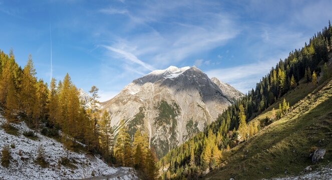 View of the rocky summit of the Gamsjoch, yellow larches, hike to the Hahnenkamplspitze, Eng, Karwendel, Tyrol, Austria