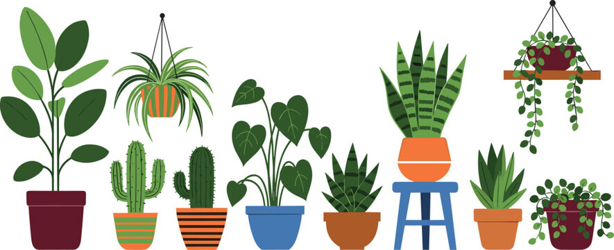 Colorful Indoor Houseplant Collection Vector Set with Pots Succulents Cactus and Hanging Plants Illustration