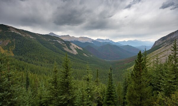 View into forested valley, mountain peak behind, Sulphur Skyline Trail, Jasper National Park, Alberta, Canada