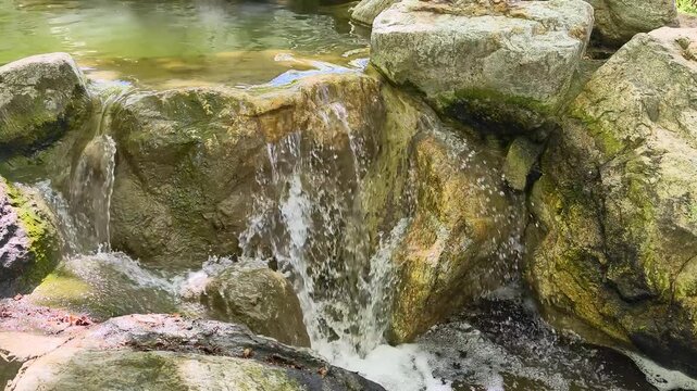Water flows over rocks in natural setting near stream during sunny day
