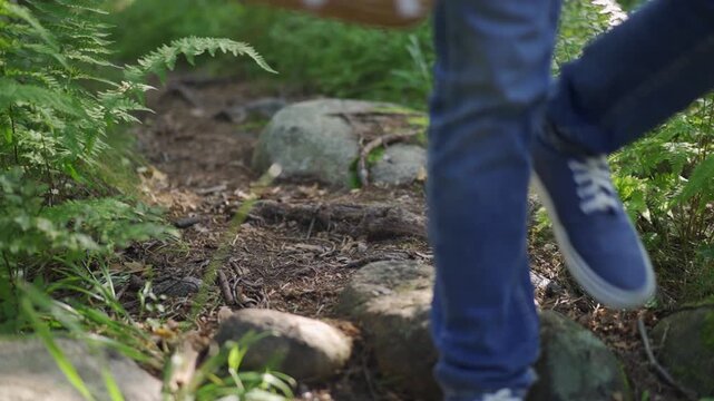 A mushroom picker walks with a basket along forest path. pick berries and mushrooms. eco-tourism. Forest path with ferns and rocks, outdoor nature hiking trail, travel and adventure 