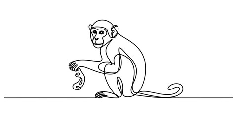 Continuous single line drawing of a cute monkey sitting and looking forward as a minimalist artistic vector illustration for creative design projects © RK Drawing Gallery