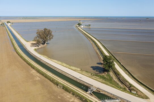 Flooded rice fields in May, the dry patches are experimentally cultivated with dryland rice, aerial view, drone shot, Ebro Delta Nature Reserve, Tarragona province, Catalonia, Spain