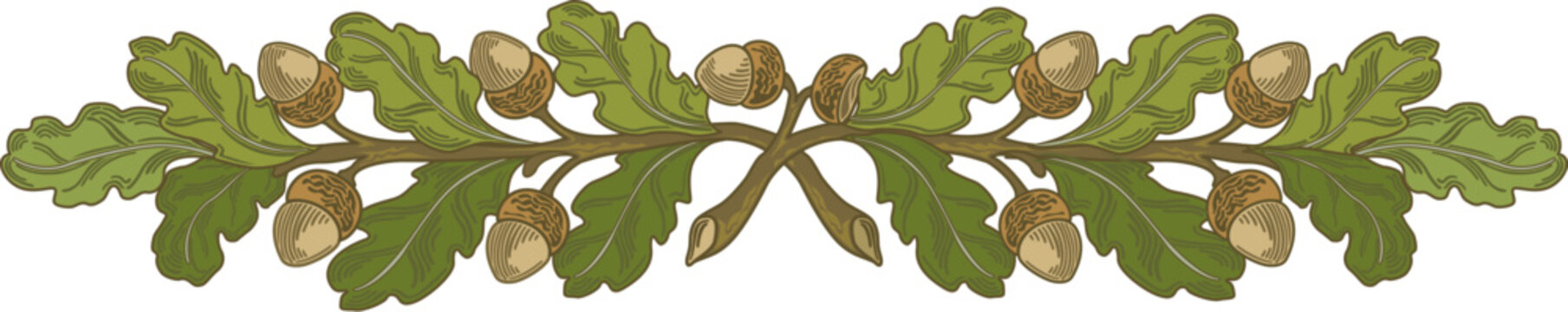 A branch adorned with oak leaves and acorns in natural detail