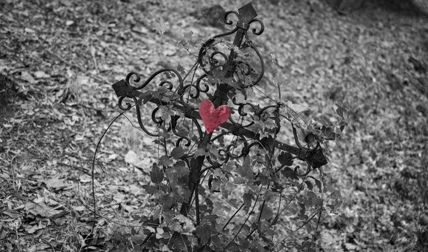 Iron cross with red heart, black and white, grave in a cemetery, France