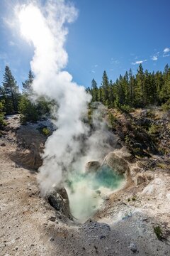 Hot steaming spring with blue water, Hurricane Vent, Noris Geyser Basin, Yellowstone National Park, Wyoming, USA