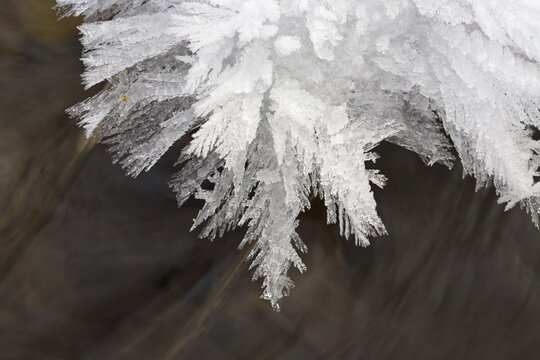 Frosted crystal formations along a stream in Steinwandklamm Ravine, Lower Austria, Austria, Europe