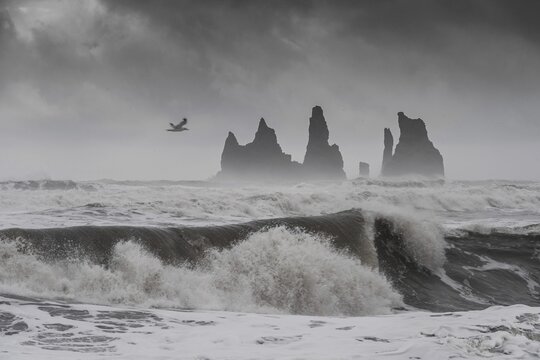 Storm with strong surf, rock needles, Reynisdrangar Skessudrangur, Landdrangur and Langsamur, V&iacute;k &iacute; M&yacute;rdal, Su&eth;urland, Sudurland, South Iceland, Iceland