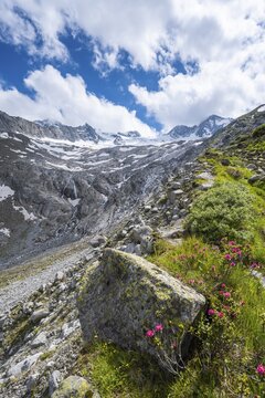 Moraine landscape, Waxeggkees glacier, in the background Gro&szlig;er M&ouml;seler, Berliner H&ouml;henweg, Zillertal Alps, Zillertal, Tyrol, Austria