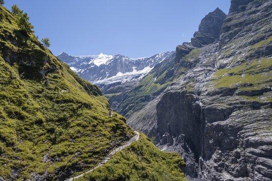 Hiking trail from Grindelwald to Schreckhornh&uuml;tte, glacier Grindelwald-Fieschergletscher and summit of Walcherhorn, Bernese Oberland, Switzerland