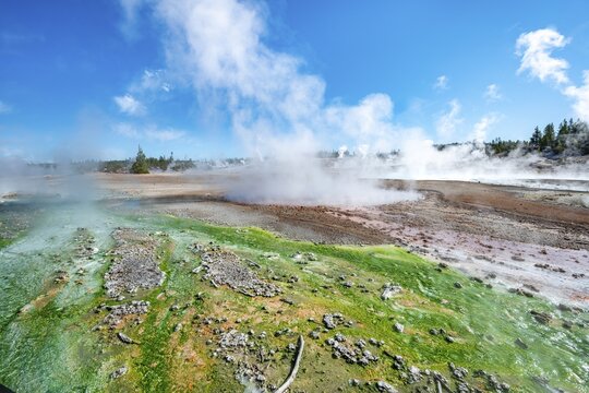 Hot springs, green algae and colourful mineral deposits in Porcelain Basin, Noris Geyser Basin, Yellowstone National Park, Wyoming, USA