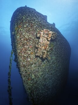 Bow, Anchor, Anchor chain, Wreck, SS Thistlegorm, Red Sea, Shaab Ali, Sinai Peninsula, Egypt