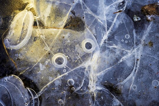 Ice structures in a puddle, Hesse, Germany