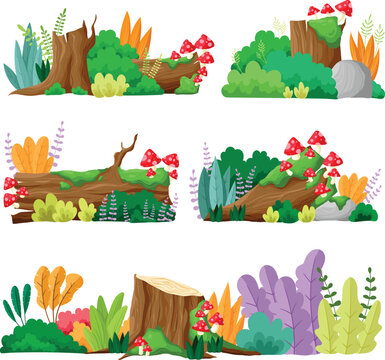 Forest Nature Elements Collection with Mushrooms and Tree Stumps