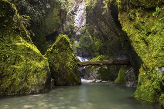 Narrow gorge with waterfall, Robinsons Creek, Haast Pass, West Coast, South Island, New Zealand