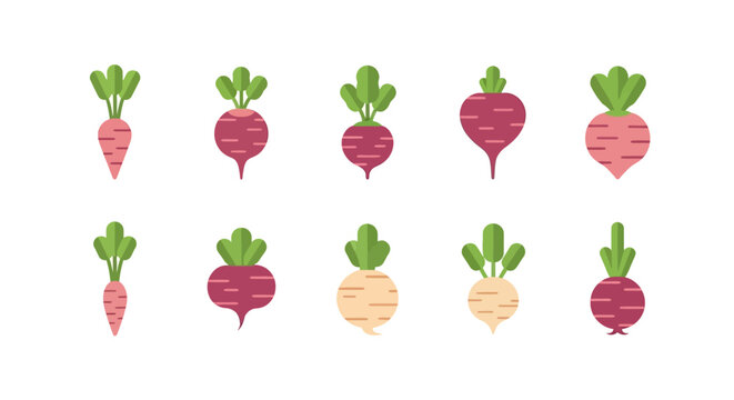 Collection of various root vegetables and root vegetables with green leaves in a flat illustration style on a white background