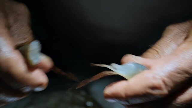 Gripping raw shrimp, hands peeling shell and removing vein to cook on lit kitchen prep tray