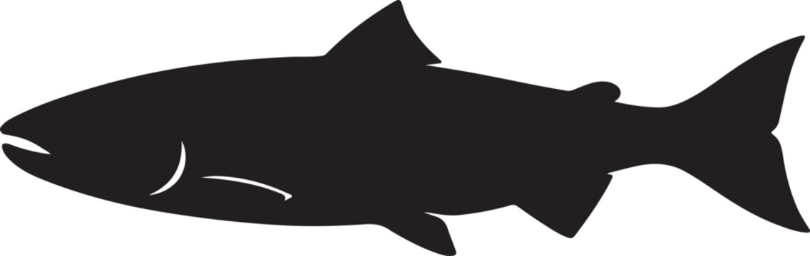 vector illustration of a salmon