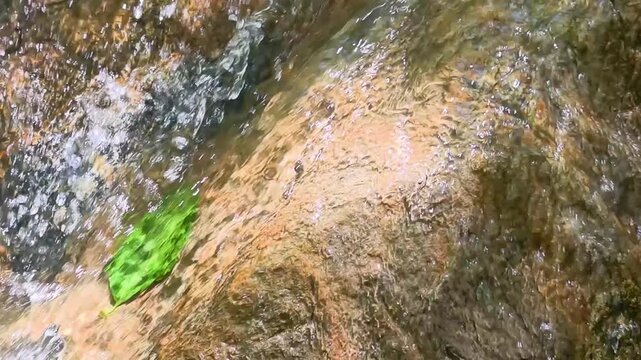 Water flows over rocks with a green leaf floating on the surface in a stream during the day