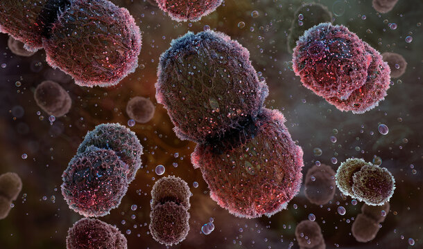 Vancomycin-resistant Enterococcus (VRE) bacteria. Pathogenic gram-positive diplococci cell division. Antimicrobial resistance, infectious disease, gut microbiota imbalance, hospital-acquired infection