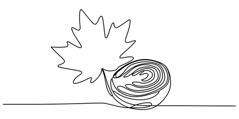 Continuous single line drawing of a maple leaf and a nut acorn in a simple minimalist style for nature design elements and autumn season themes © Jagonnath