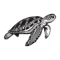 Sea turtle swimming in ocean © Sebika